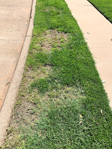 Lawn care service Wichita Falls