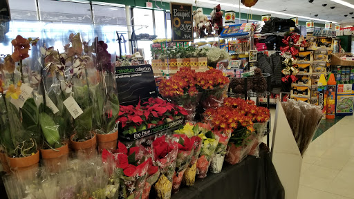 Shopping Mall «Blue Star Shopping Center», reviews and photos, 1701 US-22, Watchung, NJ 07069, USA