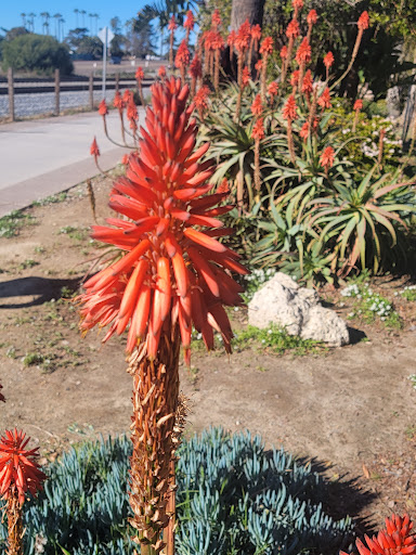 Clothing Store «Patagonia Cardiff-by-The-Sea», reviews and photos, 2185 San Elijo Ave, Cardiff, CA 92007, USA