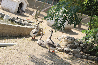 Zoo Huanchaco