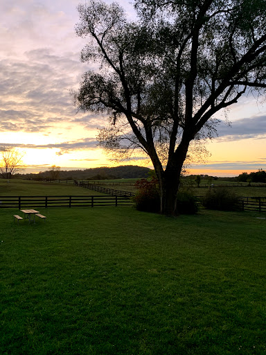 Ranch «The Marriott Ranch Bed and Breakfast», reviews and photos, 5305 Marriott Ln, Hume, VA 22639, USA