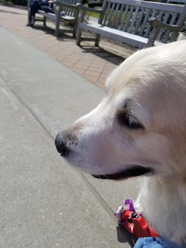 Coffee Shop «Belvedere Coffee Shop & Diner», reviews and photos, 3601 Atlantic Ave, Virginia Beach, VA 23451, USA