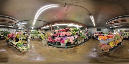 Florist «Austin Flower Co», reviews and photos, 1612 W 35th St, Austin, TX 78703, USA