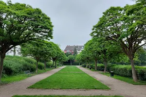 Rosenzweig Park image