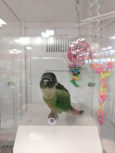 Pet Supply Store «Petco Animal Supplies», reviews and photos, 2365 NW Kings Blvd, Corvallis, OR 97330, USA