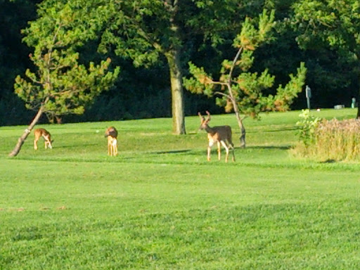 Golf Course «Overpeck Golf Course», reviews and photos, 273 E Cedar Ln, Teaneck, NJ 07666, USA