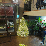 Photo n°1 de l'avis de Cristina.a fait le 02/12/2022 à 19:46 sur le  Bakkus à Sassari