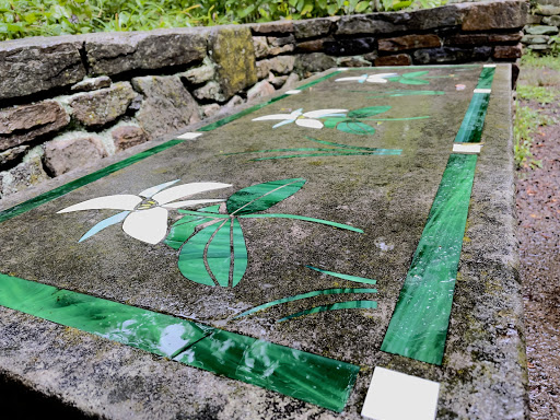 Botanical Garden «Botanical Gardens At Asheville», reviews and photos, 151 W .T. Weaver Blvd, Asheville, NC 28804, USA