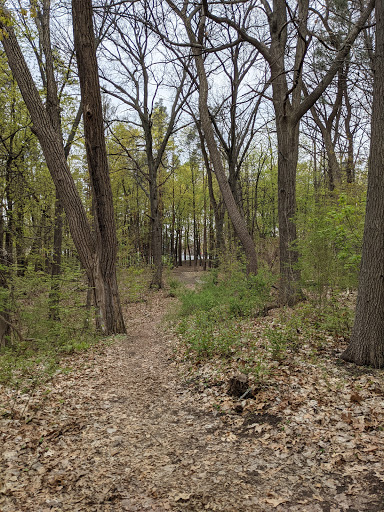 Golf Course «Central Park Disc Golf Course», reviews and photos, PTL Arthur Chaires Ln, Schenectady, NY 12309, USA