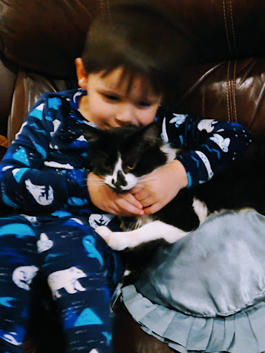 Pet Supply Store «Pet Pros Benson in Renton», reviews and photos, 10583 SE Carr Rd, Renton, WA 98055, USA