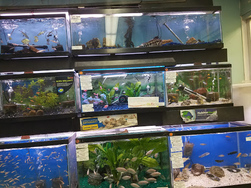 Pet Store «Petland Discounts - Pitkin Avenue», reviews and photos, 1689 Pitkin Ave, Brooklyn, NY 11212, USA