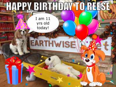 Pet Supply Store «EarthWise Pet Supply & Grooming», reviews and photos, 245 Fries Mill Rd, Blackwood, NJ 08012, USA