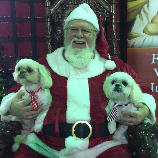 Pet Groomer «ITIG Happy Dog Wash», reviews and photos, 6465 S Chickasaw Trail, Orlando, FL 32829, USA