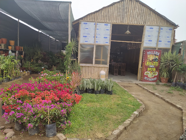 Vivero Del Sur - Lima