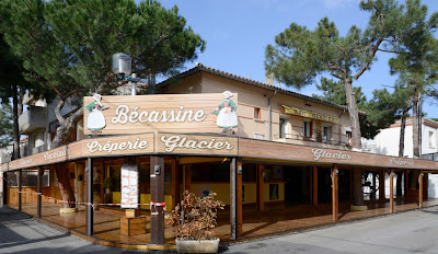Bécassine à Argelès-sur-Mer