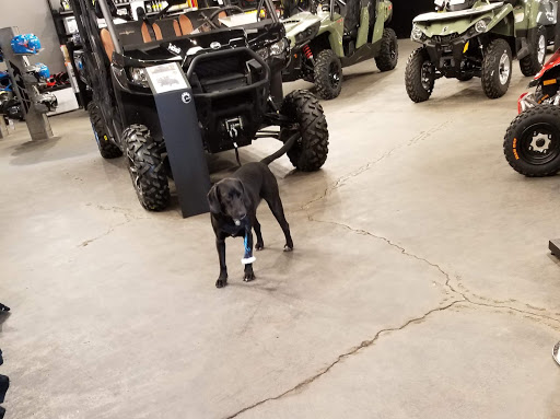 Motorsports Store «River Raisin Powersports», reviews and photos, 1065 N Telegraph Rd, Monroe, MI 48162, USA