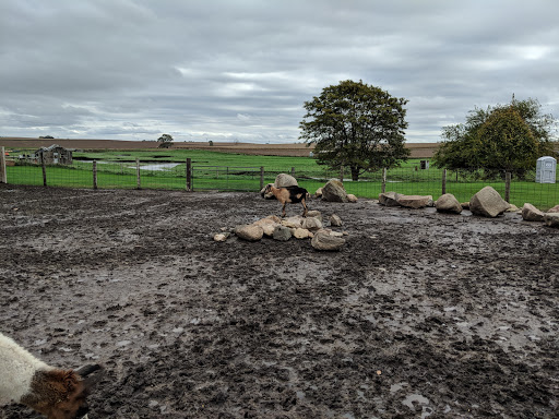 Tourist Attraction «Bloomsbury Farm», reviews and photos, 3260 69th St, Atkins, IA 52206, USA