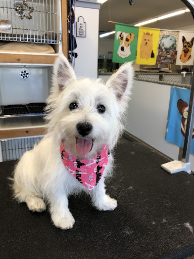 Pet Groomer «My Pal Pet Supplies & Grooming», reviews and photos, 817 W Napa St, Sonoma, CA 95476, USA