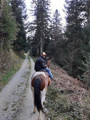 Ranch du Lévézou - Centre de Tourisme Equestre à Trémouilles