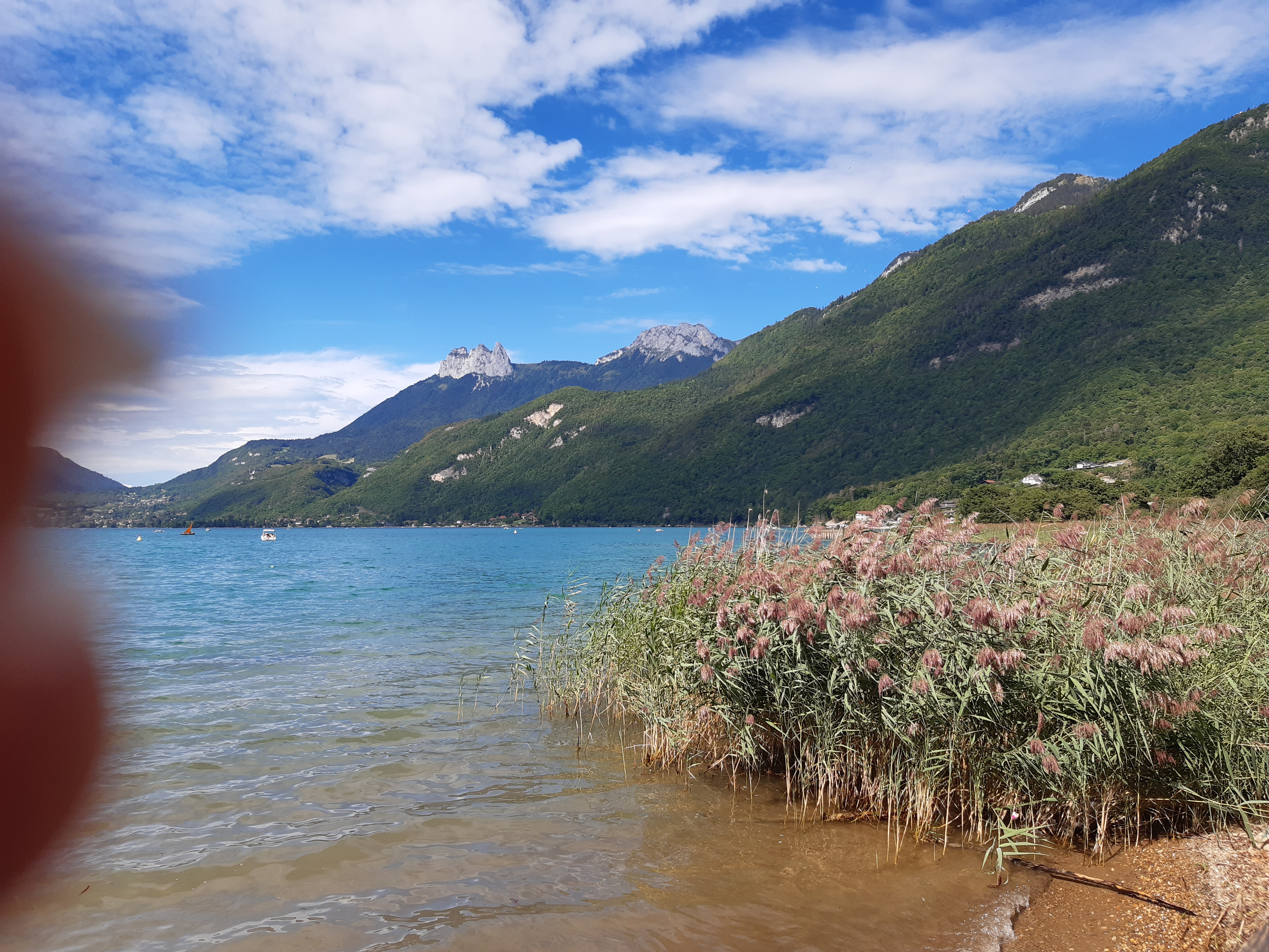 Photo n° 2 de l'avis de Helene.o fait le 19/08/2020 à 17:30