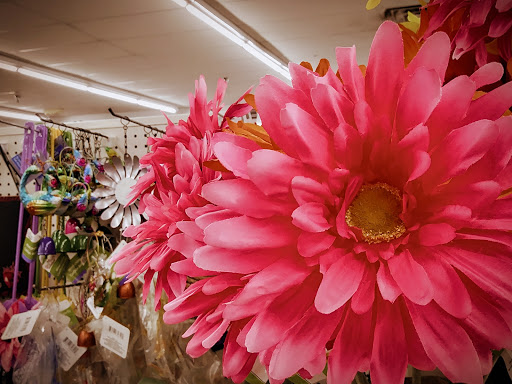 Dollar Store «Dollar Tree», reviews and photos, 1925 Pawtucket Ave, East Providence, RI 02914, USA