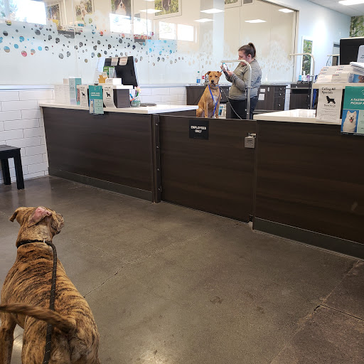 Pet Store «PetSmart», reviews and photos, 14903 4th Ave SW Ste 200, Burien, WA 98166, USA