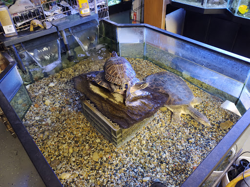 Pet Supply Store «Pet City Pets», reviews and photos, 1254 Ecorse Rd, Ypsilanti, MI 48198, USA