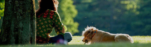 Pet Supply Store «Concord Pet Foods & Supplies», reviews and photos, 2062 Newark Rd, West Grove, PA 19390, USA