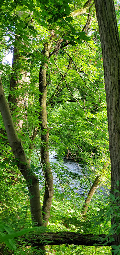 Supermarket «Giant Eagle Supermarket», reviews and photos, 48 Vienna Ave, Niles, OH 44446, USA