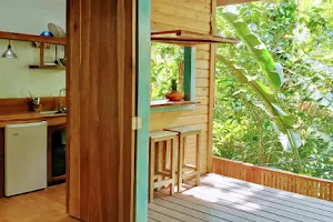 Jungle Paunch Cabins image