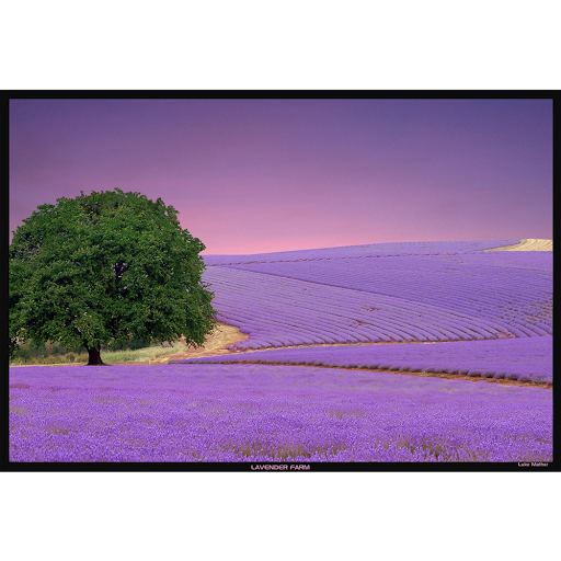 House Cleaning Service «Lavender and Lemon Cleaning Company, LLC», reviews and photos, 114 Judson Rd, La Porte, IN 46350, USA