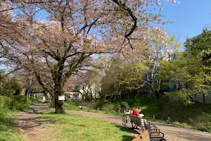 Zanborigawaryokudo Park image
