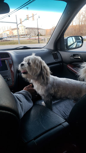 Pet Supply Store «Petco Animal Supplies», reviews and photos, 10060 US Highway 40 G-150, Ellicott City, MD 21042, USA