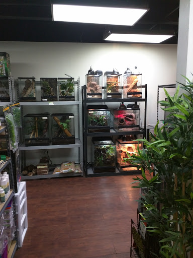 MOC Reptiles, 643 NE 125th St, North Miami, FL 33161, USA, 