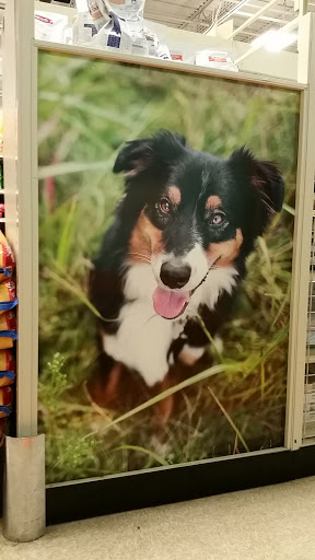 Pet Supply Store «PetSmart», reviews and photos, 2391 NJ-66, Ocean Township, NJ 07712, USA