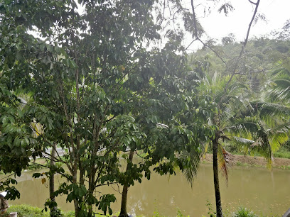 LauEr Stingless Bee Honey Farm 老二银蜂蜜农场