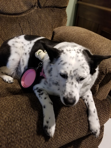 1017 Pat Booker Rd, Universal City, TX 78148, USA