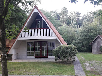 Bosbungalow ijhorst