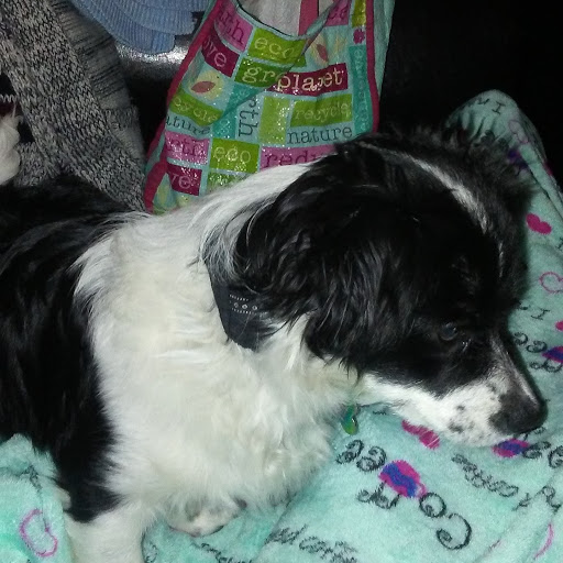 Movie Theater «AMC Montebello 10», reviews and photos, 1475 N Montebello Blvd, Montebello, CA 90640, USA