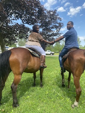 Ponies " R " Us & Mobile Petting Zoo