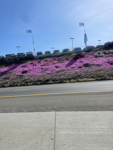 Used Car Dealer «Hawthorne Auto Square», reviews and photos, 11646 Prairie Ave, Hawthorne, CA 90250, USA