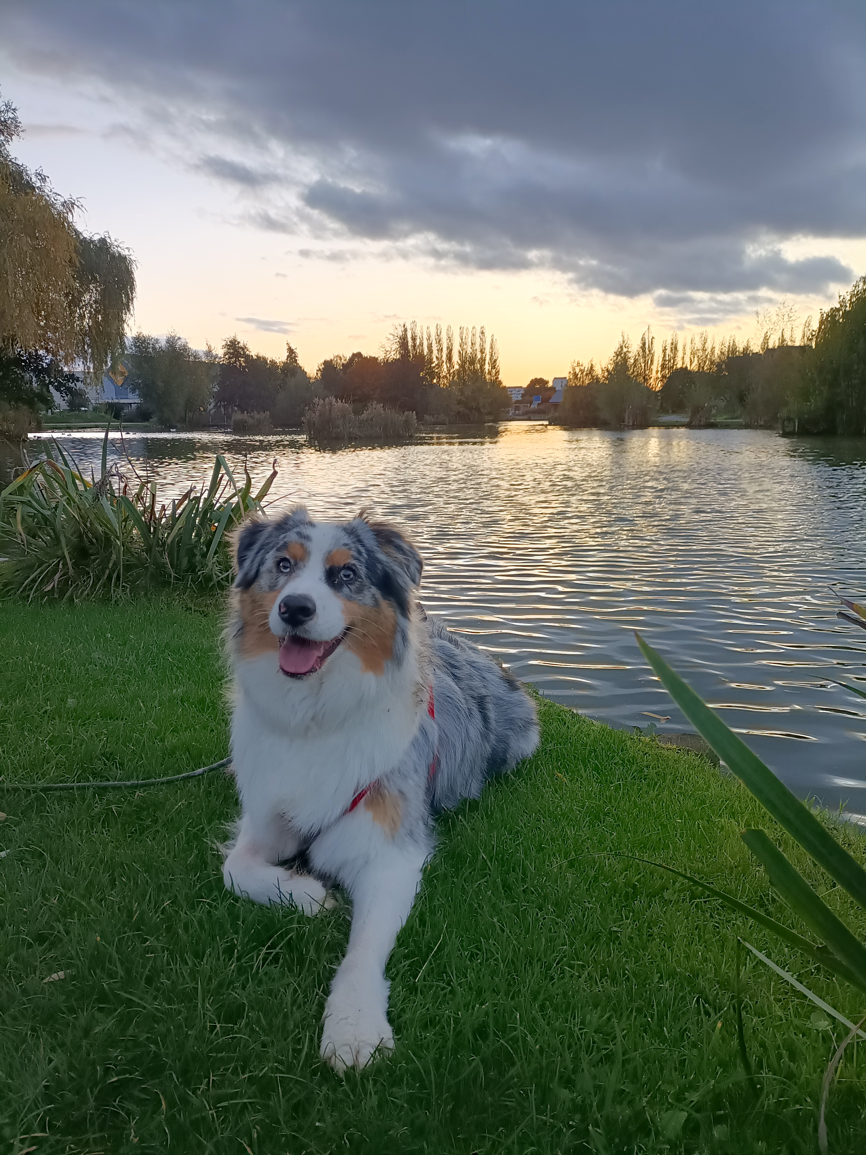 Photo n° 3 de l'avis de Kandji.R fait le 05/11/2023 à 21:02