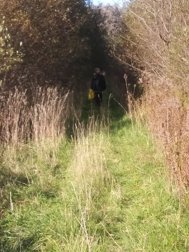 Golf Course «Niagara County Golf Course», reviews and photos, 314 Davison Rd, Lockport, NY 14094, USA