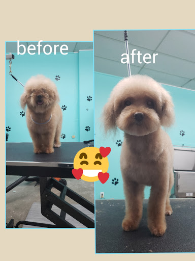 On The Spaw Pet Grooming Salon image