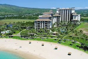 Luxury Retreat Hawaii image