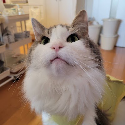 あお動物病院