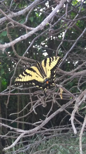 Golf Course «Renaissance Golf Club», reviews and photos, 377 Kenoza St, Haverhill, MA 01830, USA