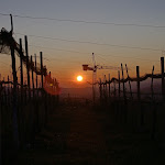 Photo n°7 de l'avis de Beatrice. fait le 12/01/2024 à 07:34 sur le  Osteria Senz'Oste à Valdobbiadene