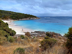 Photo de Little Boat Harbour Beach et ses beaux paysages