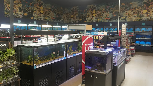 Pet Supply Store «Petco Animal Supplies», reviews and photos, 4175 Dowlen Rd, Beaumont, TX 77706, USA